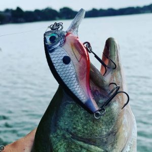 RAPALA BX BRAT 6 DEPTH