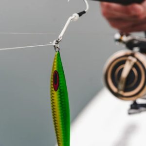 JIG DAIWA SALTIGA FK