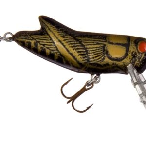 GRILLO REBEL CRICKHOPPER