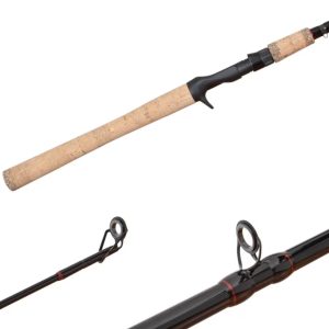 CAÑA SHIMANO SCIMITAR CASTING