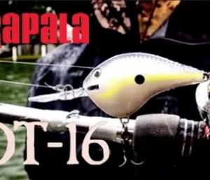 RAPALA DT 16