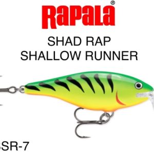 RAPALA SHAD RAP SHALLOW RUNNER 7