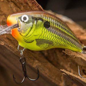 RAPALA DT 04