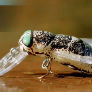 MOSCA REBEL BUMBLE BUG