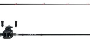 COMBO SHIMANO CAIUS